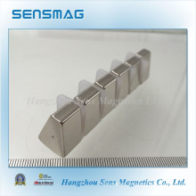 Customized Special Shape Permanent NdFeB Magnet for Generator